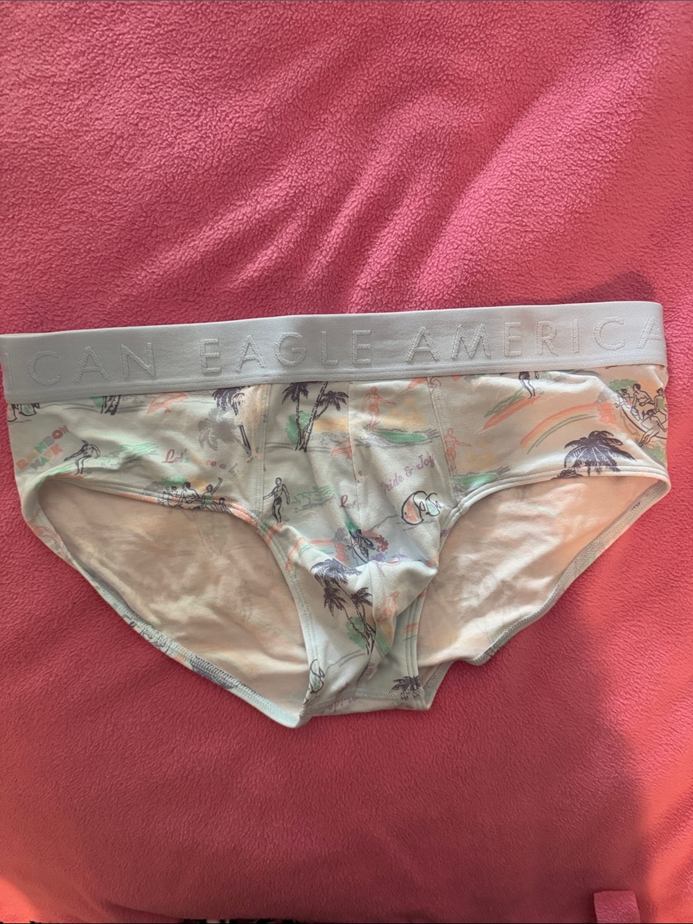 American Eagle Briefs